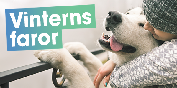 VA 600 x 300 (2).png