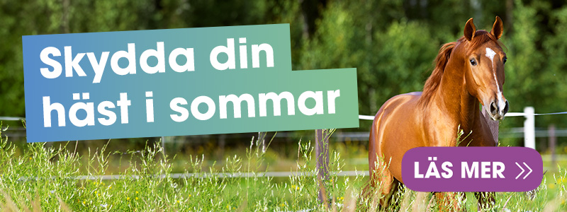 skydda-din-hast-i-sommar