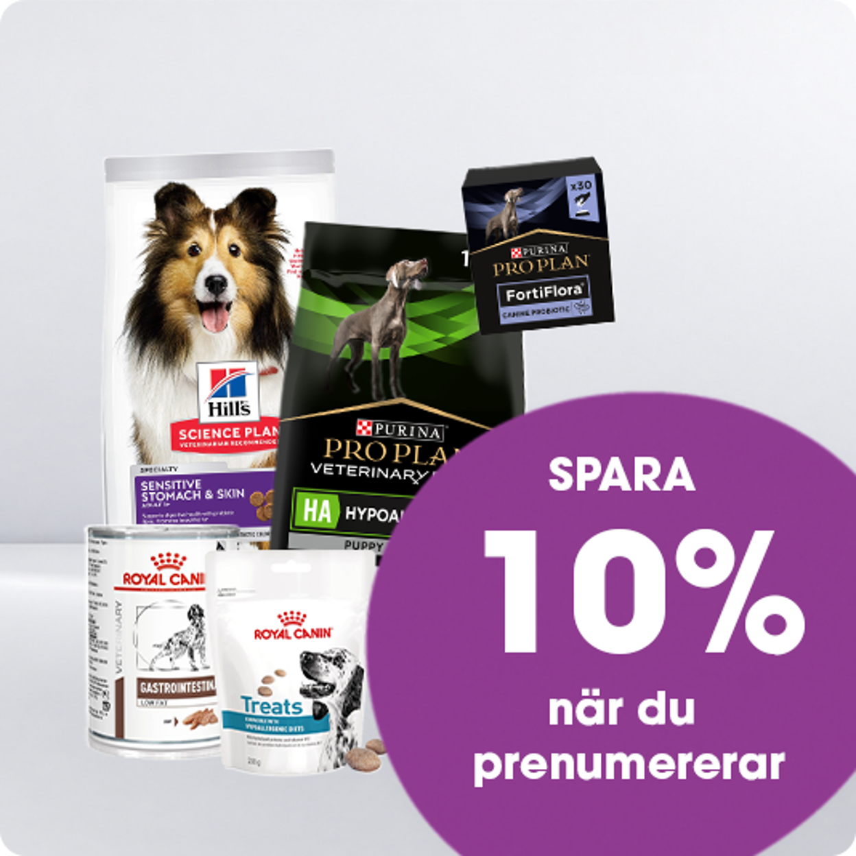 Hund 10%