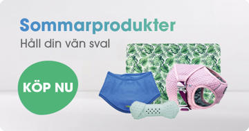 Sommarprodukter för hund