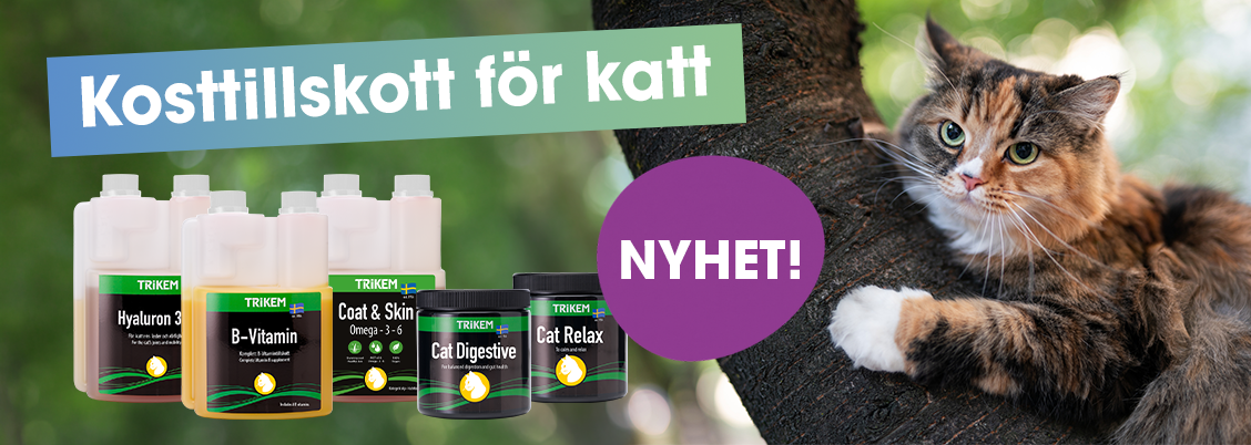 Kosttillskott för katt