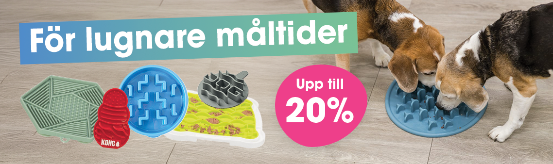 Slowfeeders för lugnare måltider