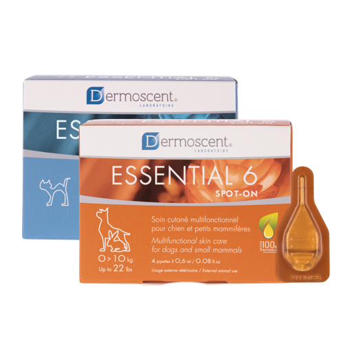Spot-on Dermoscent Essential 6 Hund
