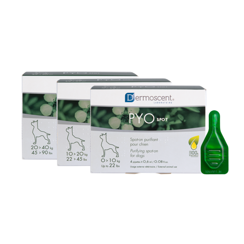 Spot-on Dermoscent PYOspot Hund