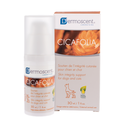 Skyddande Gel Dermoscent Cicafolia 30 ml