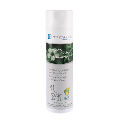 Schampo Dermoscent PYOclean Shampoo Hund & Katt 200 ml