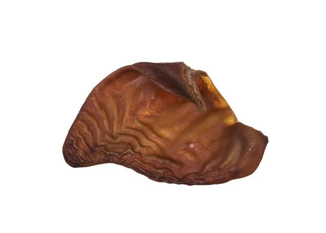 Nutriment Pork Ear 1 st