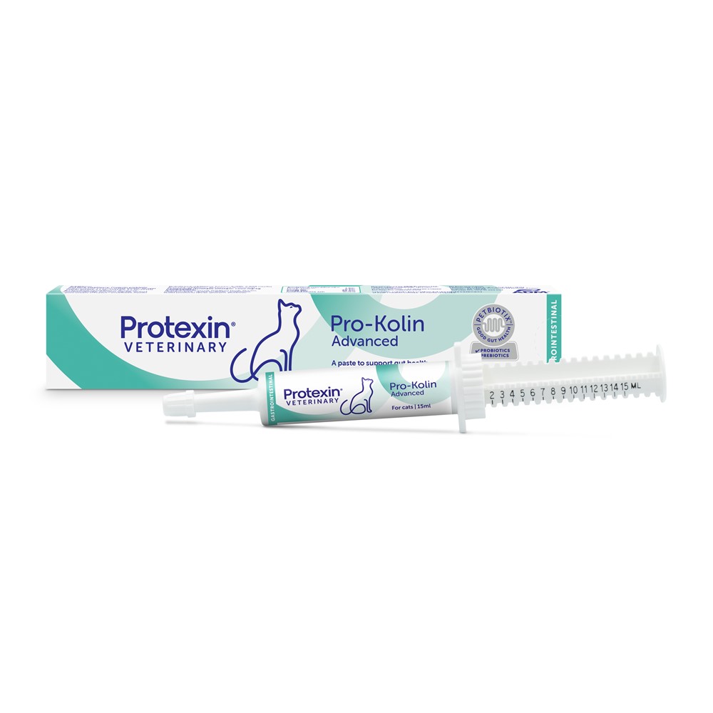 Kosttillskott Protexin Pro-Kolin Advanced Katt 15 ml