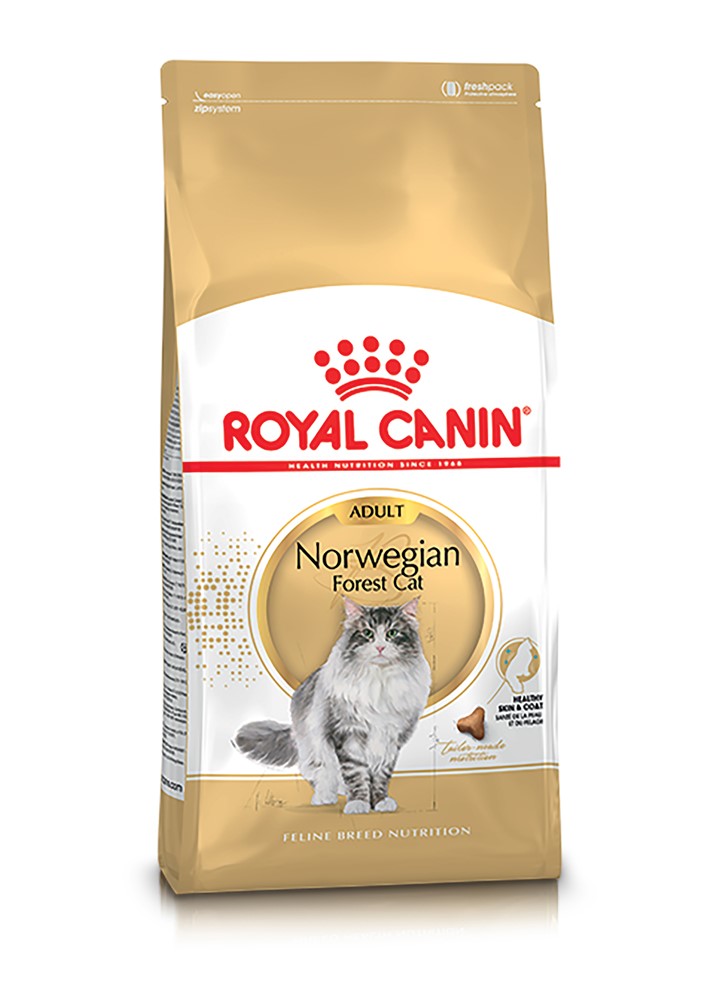 Royal Canin Norwegian Forest Cat Adult 400 g | Katt - Foder - Torrfoder | DogStyle