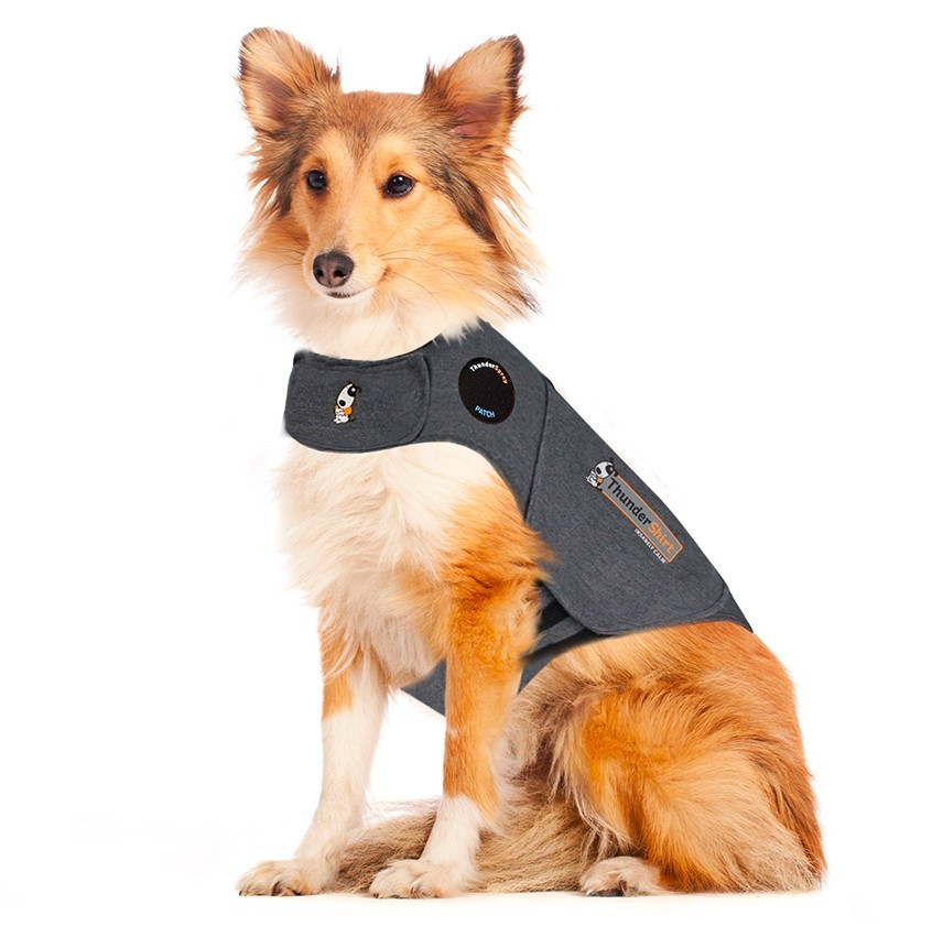 Orosdämpande tröja Thundershirt Grå L