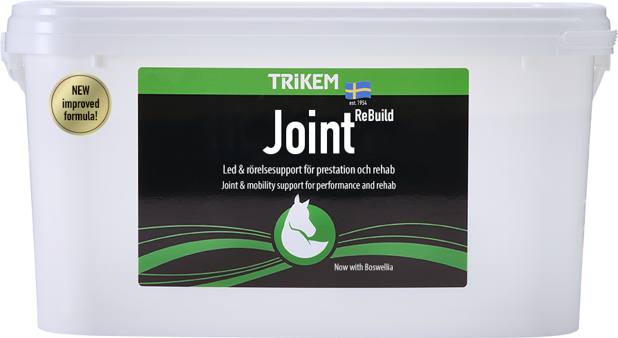 Ledtillskott Trikem Joint Rebuild 4000 g | Hast - Vitaminer-kosttillskott - Hast-kosttillskott | DogStyle