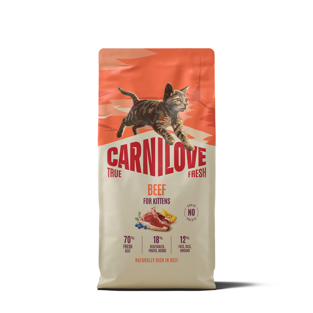 Carnilove True Fresh Cat Kitten Beef torrfoder för kattunge 6 kg