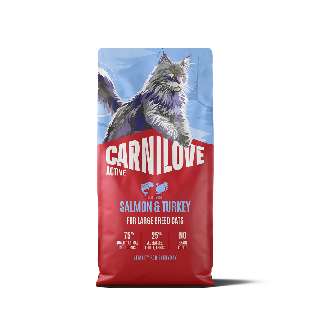 Carnilove Active Cat Adult Large Breed Salmon & Turkey torrfoder för katt 6 kg