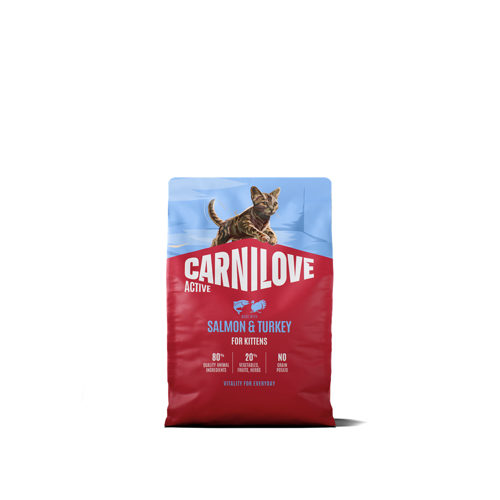 Carnilove Active Cat Kitten Salmon &amp; Turkey torrfoder f&ouml;r kattunge 2 kg