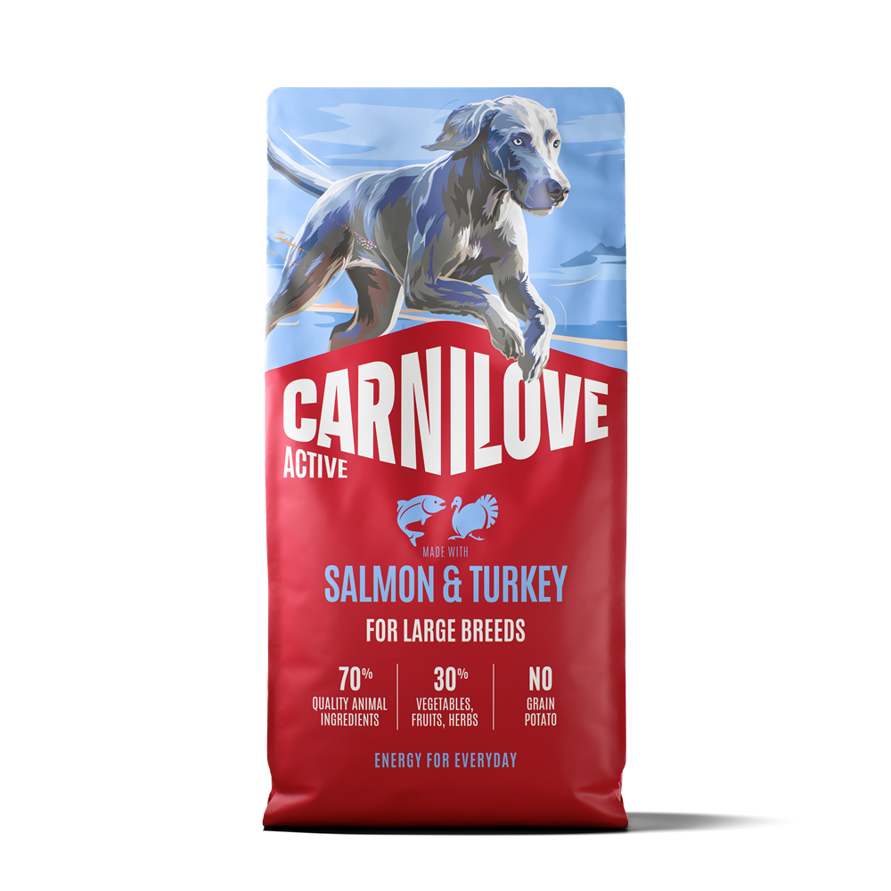 Carnilove Active Dog Adult Large Breed Salmon & Turkey torrfoder för hund 12 kg