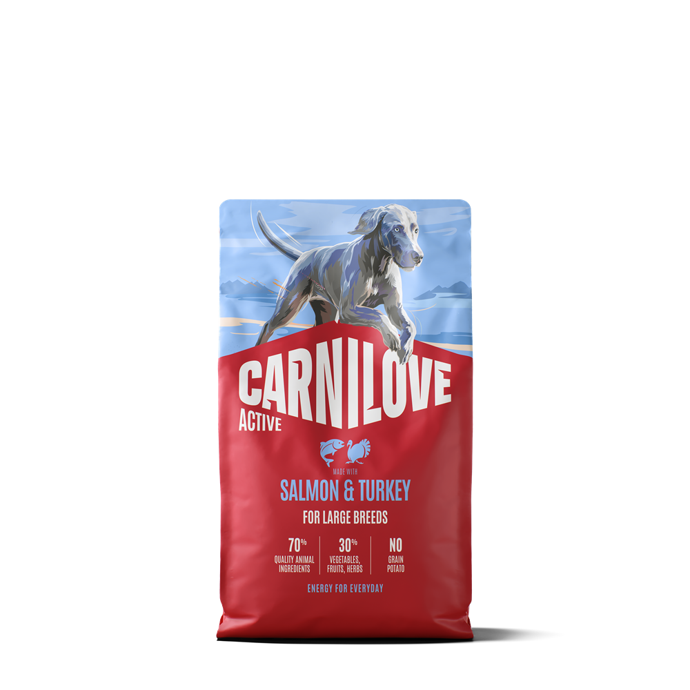 Carnilove Active Dog Adult Large Breed Salmon & Turkey torrfoder f&ouml;r hund 4 kg