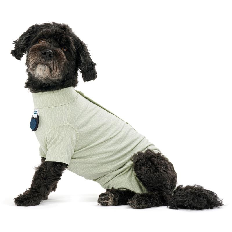 BUSTER Body Suit Step'n Go för Hundar med CalmDown Knapphållare, XL, Dusty Green
