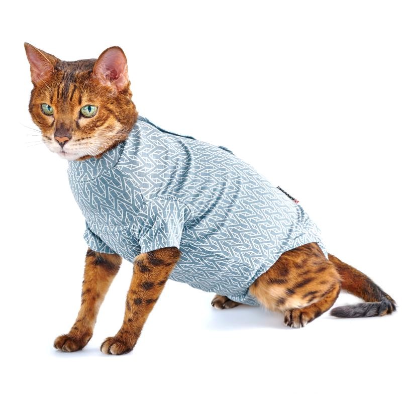 BUSTER Body Suit Step'n Go för Katter med CalmDown Knapphållare, S, Deep Blue