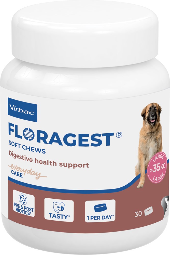 Virbac Floragest Hund L 30 st