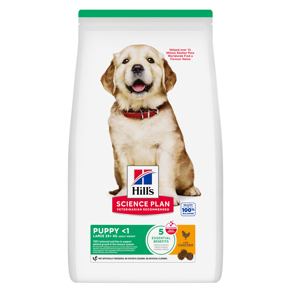 Hill's Science Plan Puppy Large Breed Chicken 6 kg