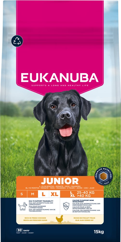 Eukanuba Dog Junior Large 15 kg