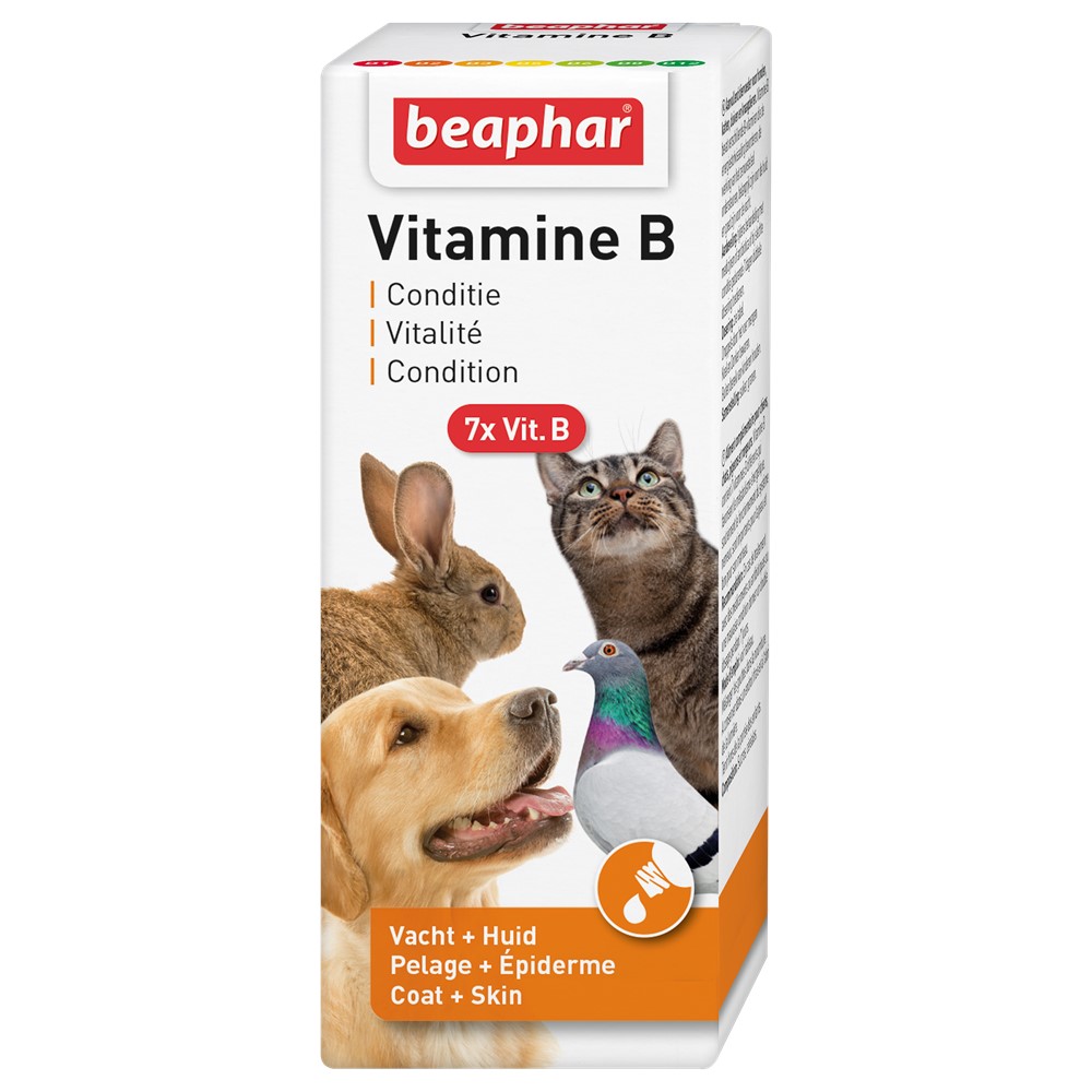Beaphar Vitamin B Complex Hund & Katt 50 ml