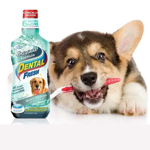 Tandtillskott SynergyLabs Dental Fresh 500 ml