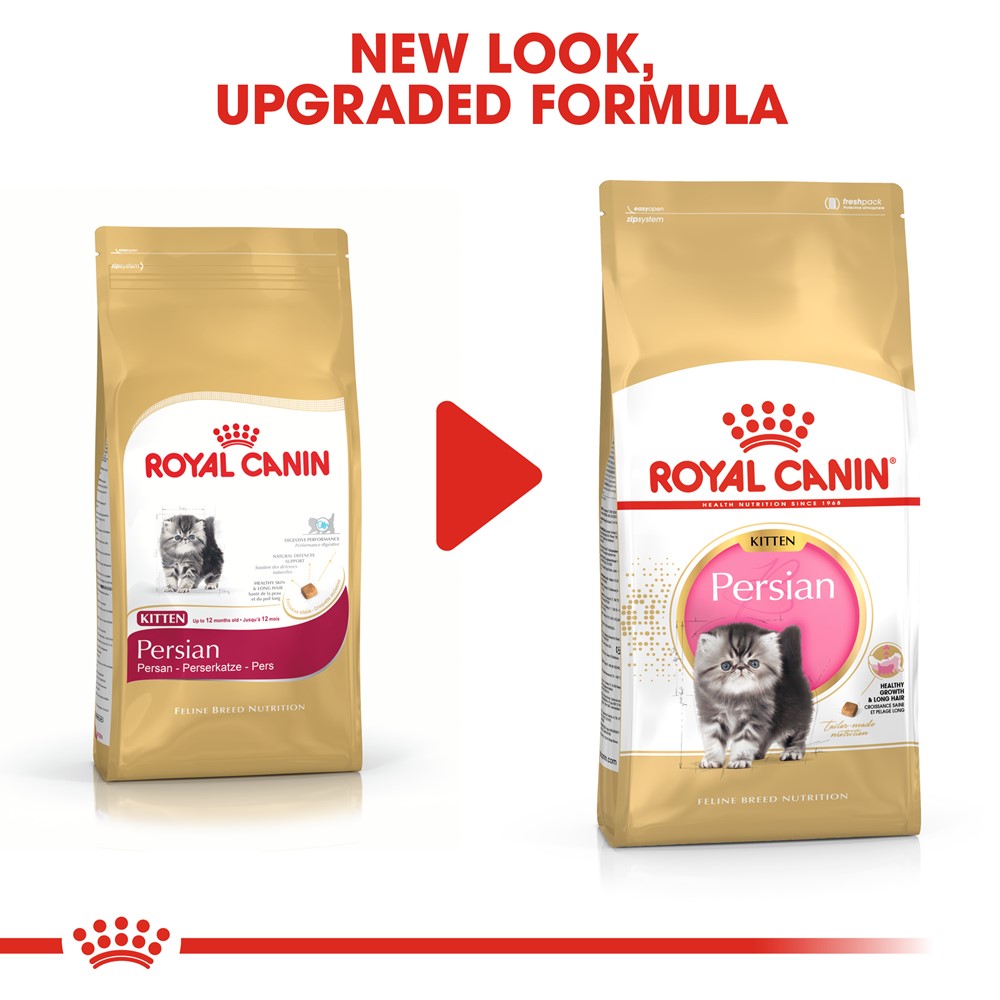 Royal canin persian sales kitten 10 kg