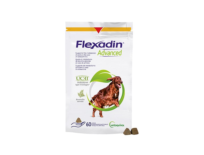 Tuggbitar Vetoquinol Flexadin Advanced Boswellia Dog 60 st
