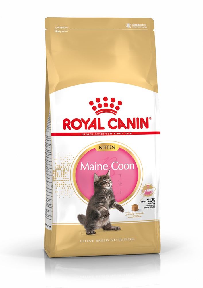 Royal Canin Maine Coon Kitten 10 kg