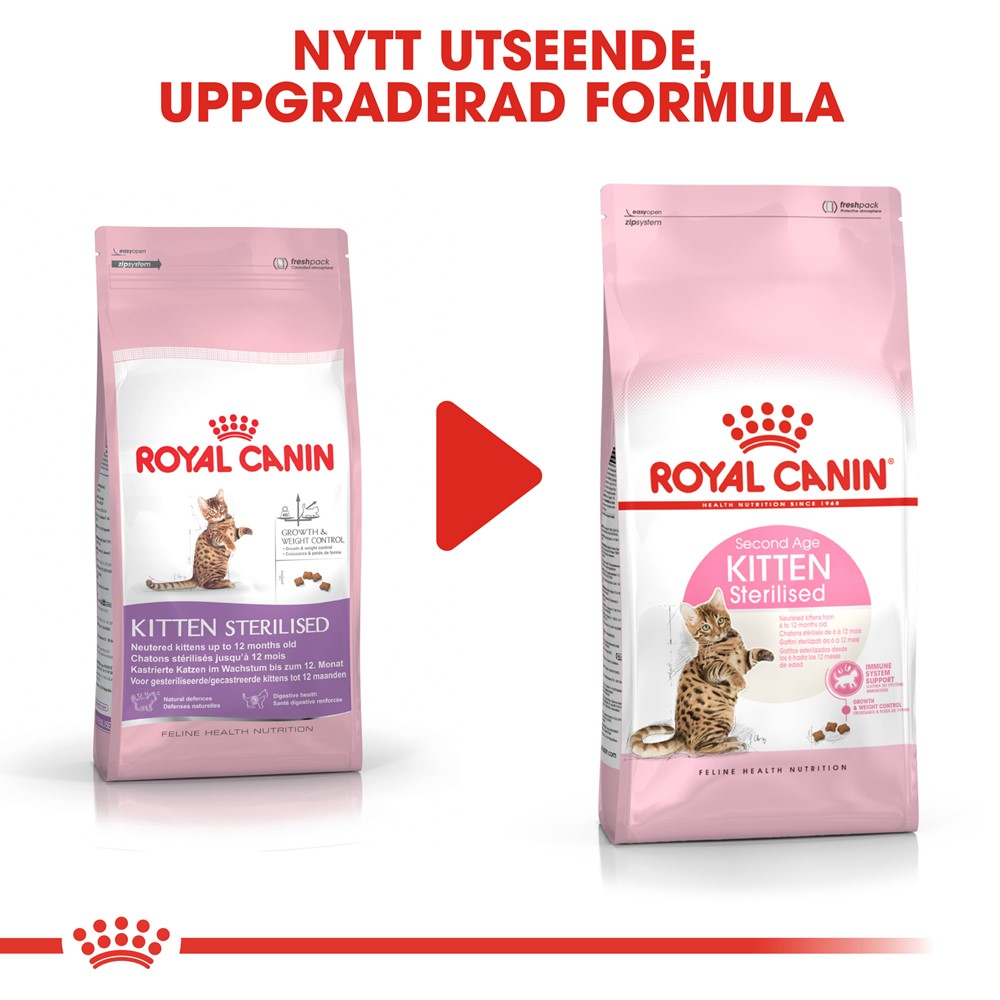 royal canin exigent kitten
