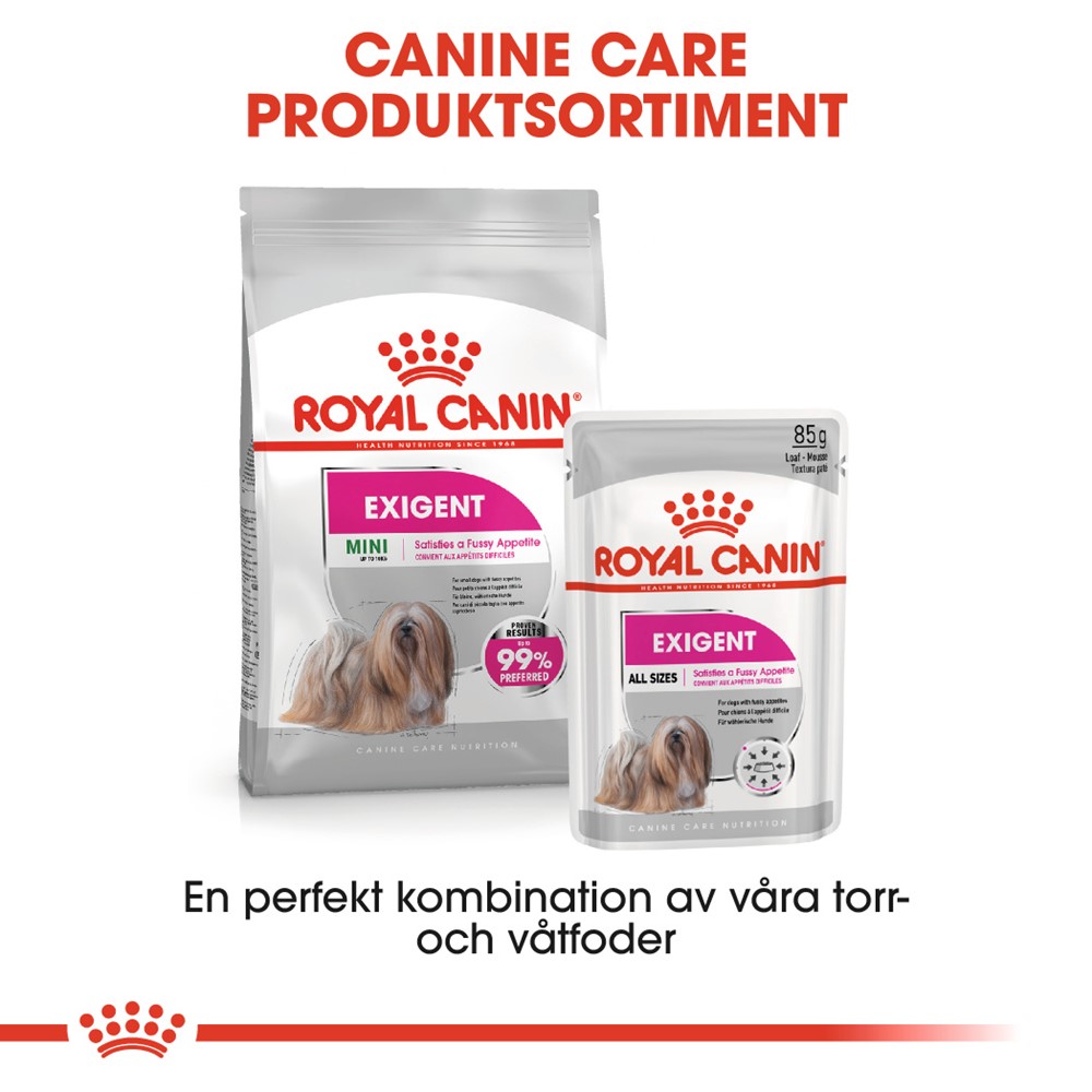 royal canin exigent