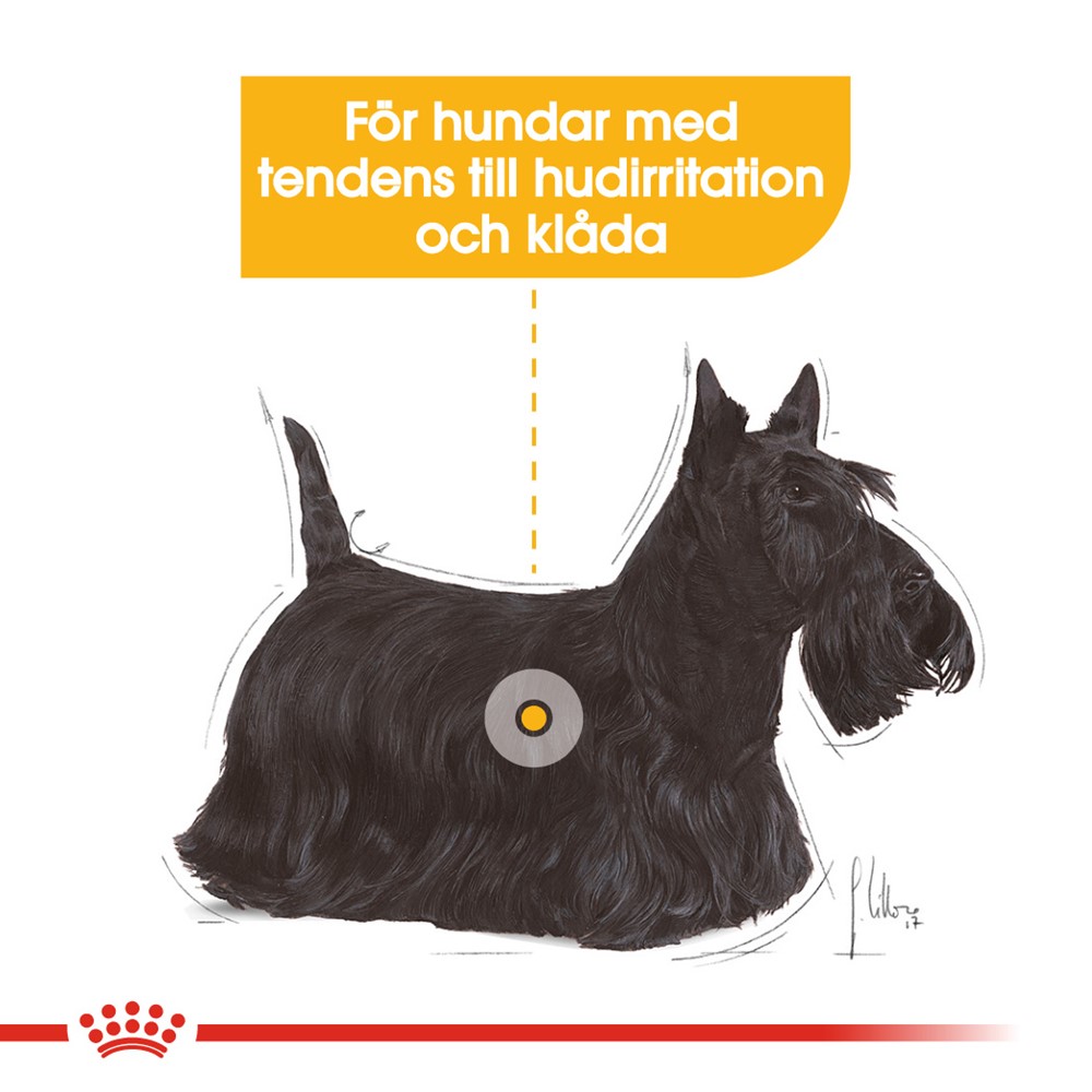 Royal Canin Dermacomfort MINI Torrfoder för hund 8 kg | Vetapotek