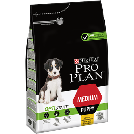 pro plan valpfoder
