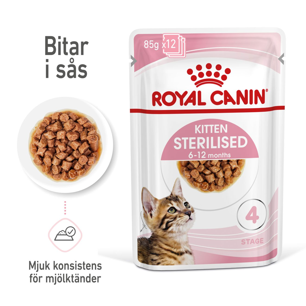 Royal canin recovery untuk kitten fashion