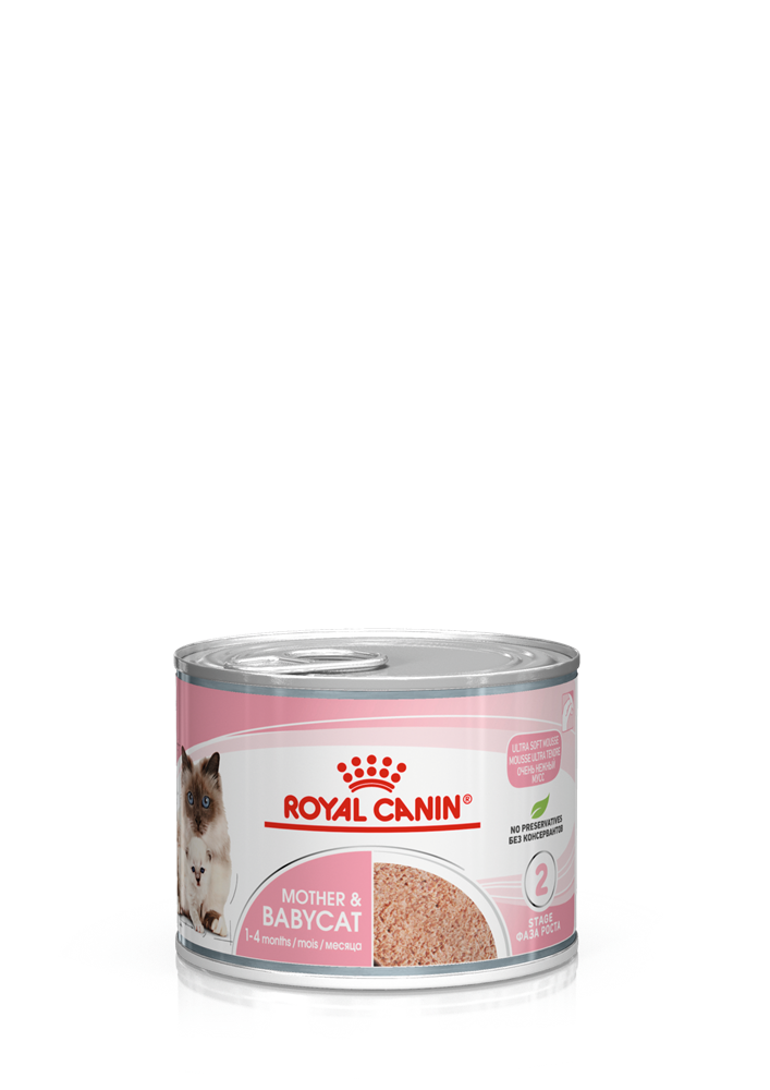 Royal Canin Mother & Babycat Mousse 12x195g | Katt - Foder - Vatfoder | DogStyle