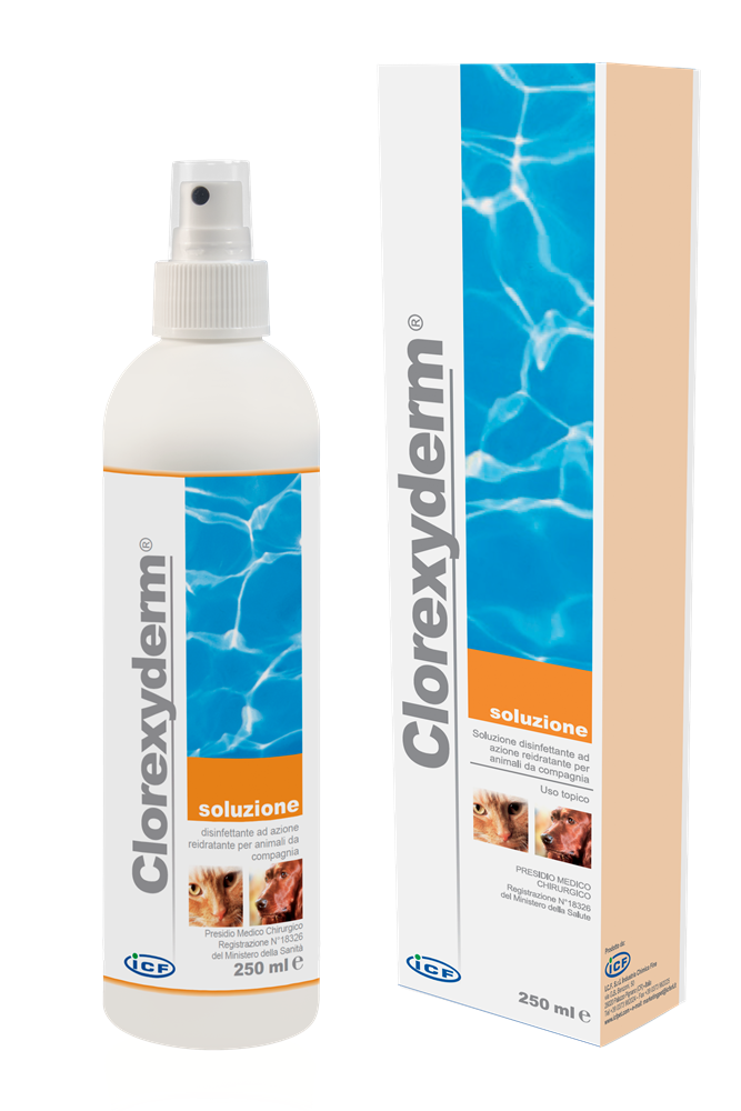 Sprejschampo ICF Clorexyderm Solution 200 ml