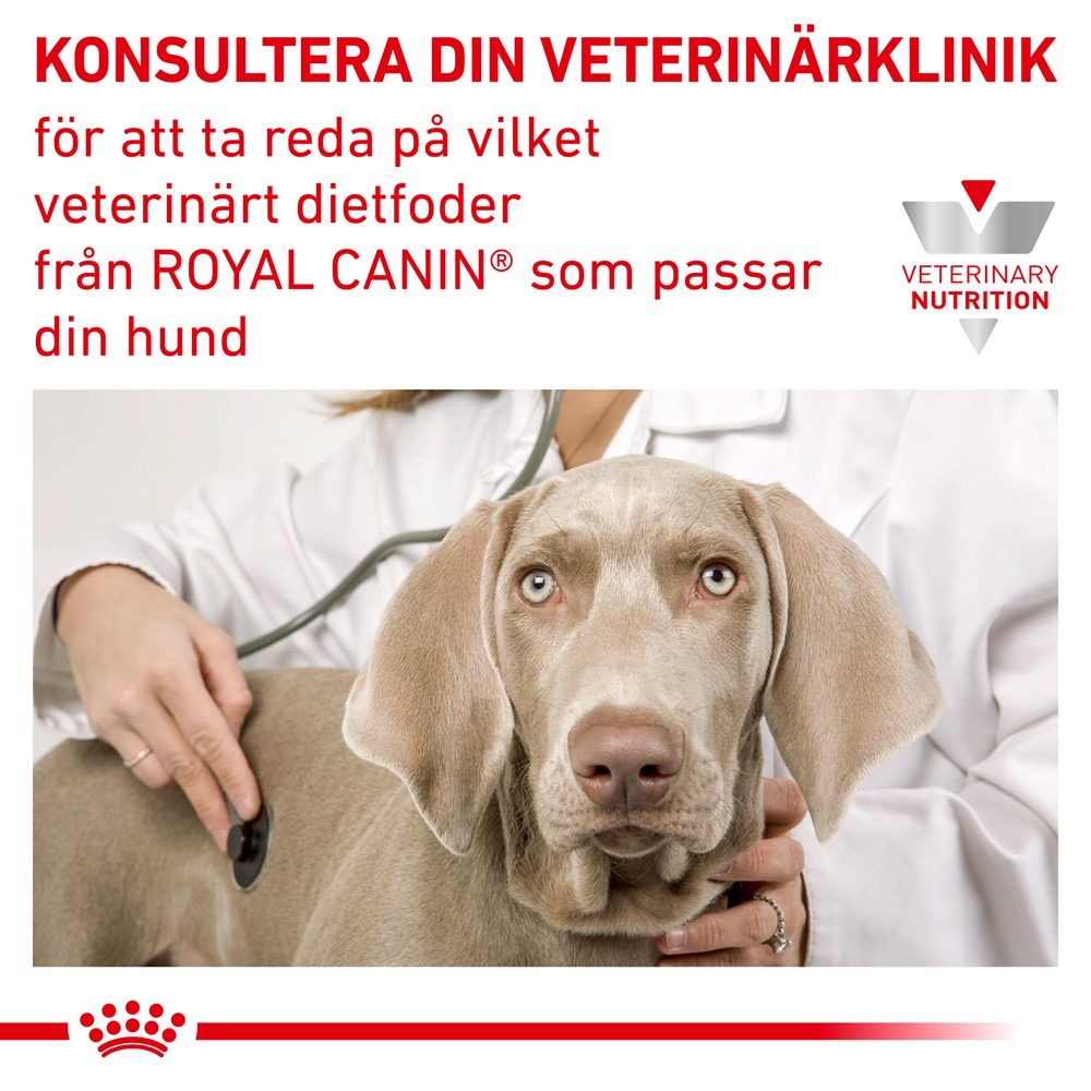 transportabel hjælp Pickering Royal Canin Veterinary Diets Derma Hypoallergenic Moderate... | Vetapotek