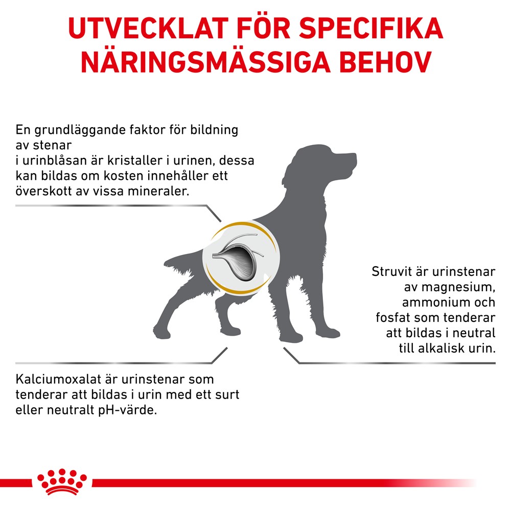 Simuler radar lovende Royal Canin Veterinary Dog Urinary S/O torrfoder för hund ... | Vetapotek