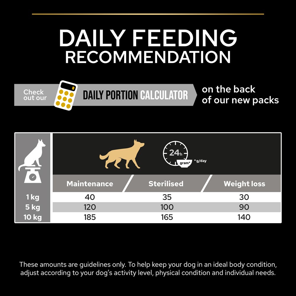 Porno videolar, odamlar oz mushuklari ichiga tiqib